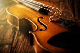 Arts and Culture Violin